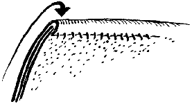 Стеганый поддоспешник, Гамбензон, Стега