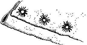 Стеганый поддоспешник, Гамбензон, Стега