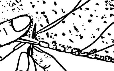 Польский шов