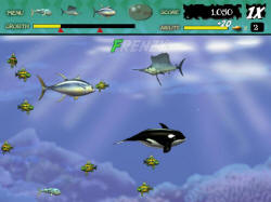 Большая рыба