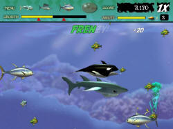 Feeding Frenzy download