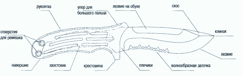 анатомия ножа