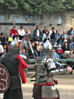 Ремешки на чешуе