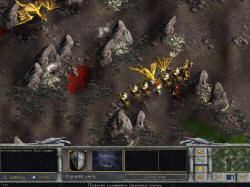 Драконы в фоу ща wonders