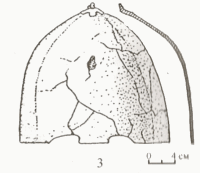 золотоордынский шлем из кургана в Прикубанье