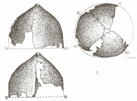 Убинский шлем
