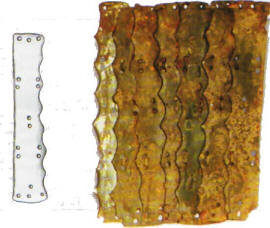 пластинки ламелляра