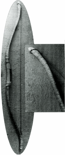 новгородский лук