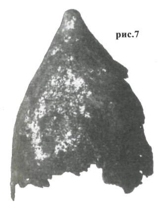 шлем мировка
