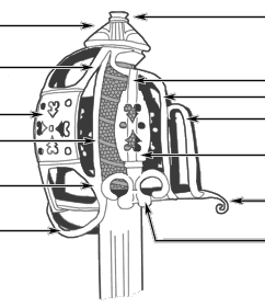 комбинированная 12