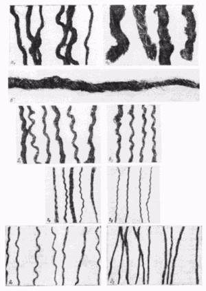 текстиль древнего Новгорода