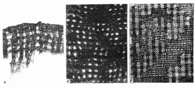 ткани Новгорода