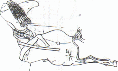 миниатюра тюрки