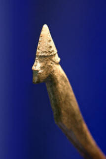 викинг в шлеме изо