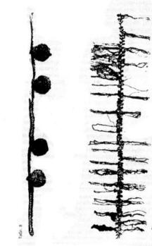 давньоруський текстиль