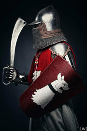 Бугуртооптимальное историческое фехтование