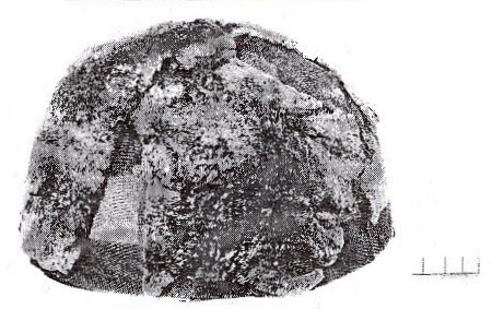 войлочня шапка