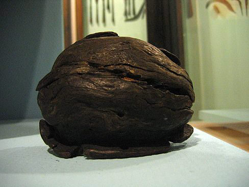 деревянный умбон щита