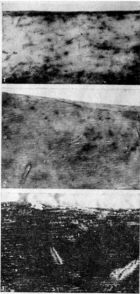 костяные изделия