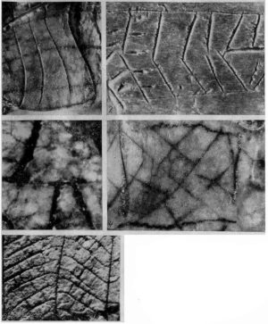 роспись на кости
