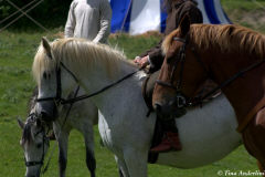 реконструкция первой половины 13 века