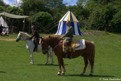 реконструкция первой половины 13 века