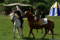 реконструкция первой половины 13 века