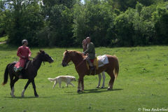 реконструкция первой половины 13 века