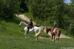реконструкция первой половины 13 века