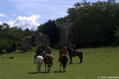 реконструкция первой половины 13 века