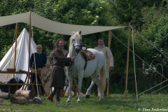 лошадь оседланная