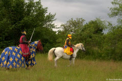 реконструкция западной европы начала 13 века