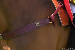 украшение сбруи коня