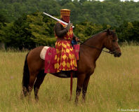 рыцарь с мечом