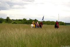 рыцари в поле