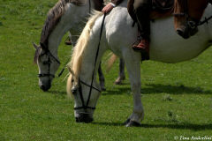 реконструкция первой половины 13 века