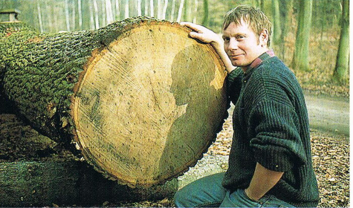 мастер по дереву