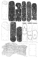 Панцирные пластины из тюркских памятников Тувы и Монгольского Алтая: 1 - Сарыг-Булун; 2- 6,8,9 - Монгун-Тайга; 7 - Шурмак-Тей; 10-12 - Загал; 13,14 - Даг-Аразы-II. 