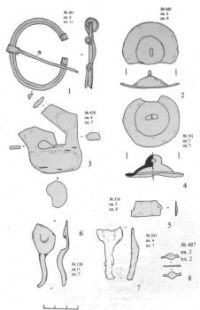фибула и прочие находки