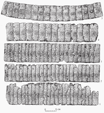 Рис. 2. Татарские могилки, могила №4, скелет-2. Панцирные пластины нагрудника, собранные в полосы. Железо, кожа