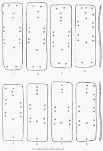 Рис. 4. Татарские могилки, могила №4, скелет-1. Панцирные пластины наспинника (реконструированный вид): 1-4 &ndash; 3 ряд; 5-8 &ndash; 4 ряд 