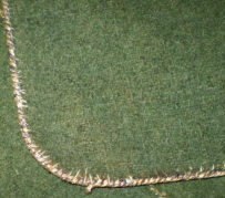 Фрагмент кунтуша из коллекции Государственного Эрмитажа. 