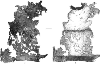 Платье из Изяславля. 1 - фотография (фотоархив ИИМК РАН); 2 - прорисовка (по: Сабурова, 1997).