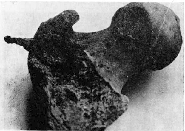 Трехлопастнын наконечник стрелы