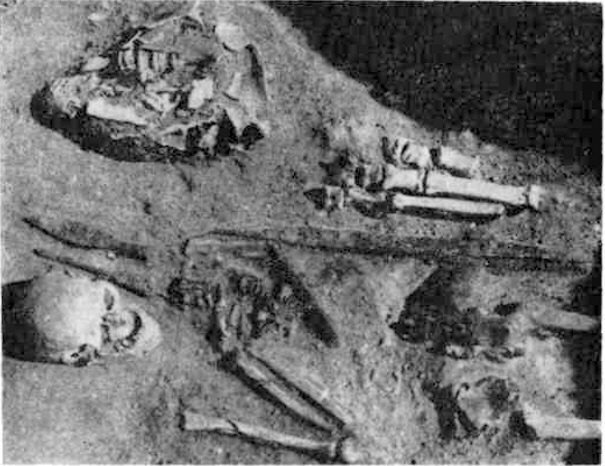 Погребение № 215 могильника Пагрибис; однолезвийный меч