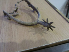 Находка средневековй шпоры