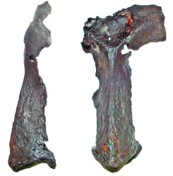 Фрагмент полумаски из Свислочи