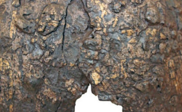 Декор левого бокового сектора орнаментального украшения шлема из Городца