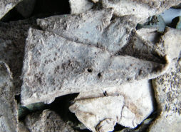 Сопутствующие предметы: куски керамики и оплавки цветных металлов