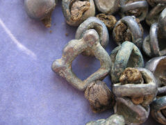 Остатки древней органики на бляшках